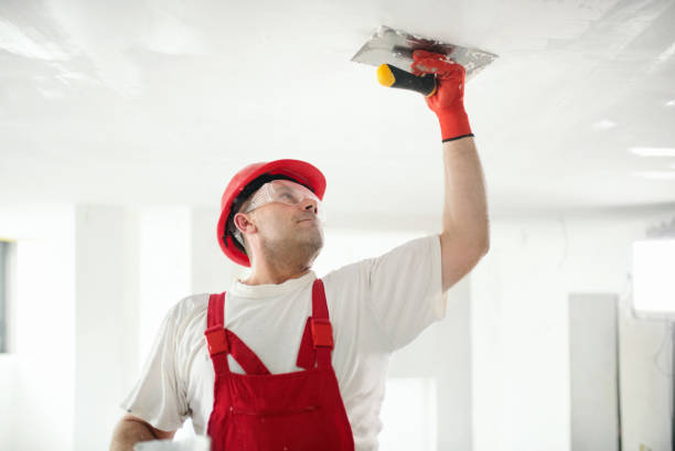 Environmental Consulting for Mold Prevention in Ann Arbor, MI