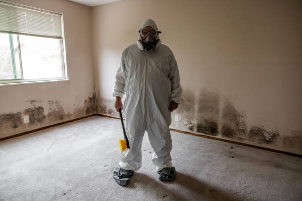 Best Crawl Space Mold Remediation  in Ann Arbor, MI